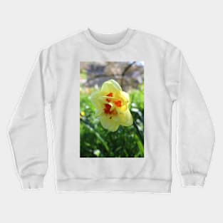 Narcissus Tahiti Crewneck Sweatshirt